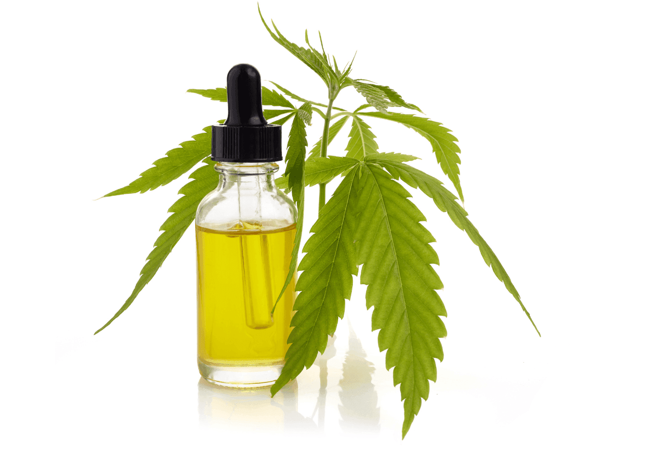 grüne Cannabis Pflanze und Extrakt